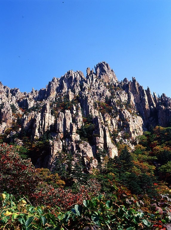 %EB%8B%A4%EC%9A%B4%EB%A1%9C%EB%93%9C_%EF%BC%8825%EF%BC%89.jpeg?type=w966