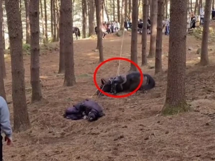 0004010648%EF%BC%BF001%EF%BC%BF20220120204501052.png?type=w1