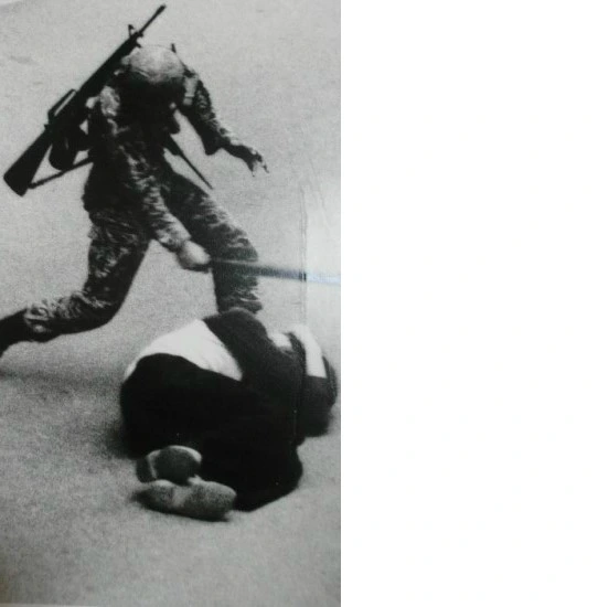 새 비트맵 이미지.bmp