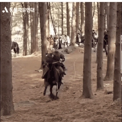 20220120%EF%BC%BF221305.gif?type=w1