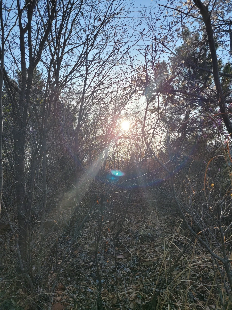 20220404%EF%BC%BF072817.jpg?type=w1