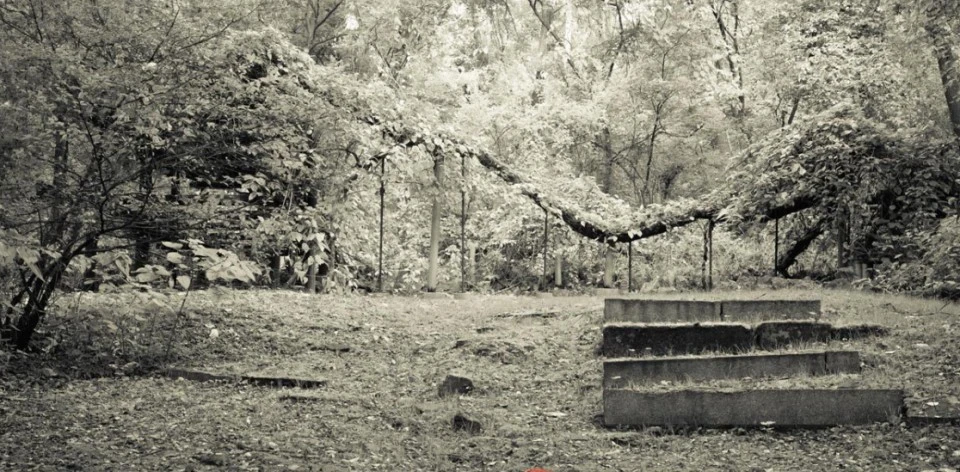 다운로드 (1).jfif