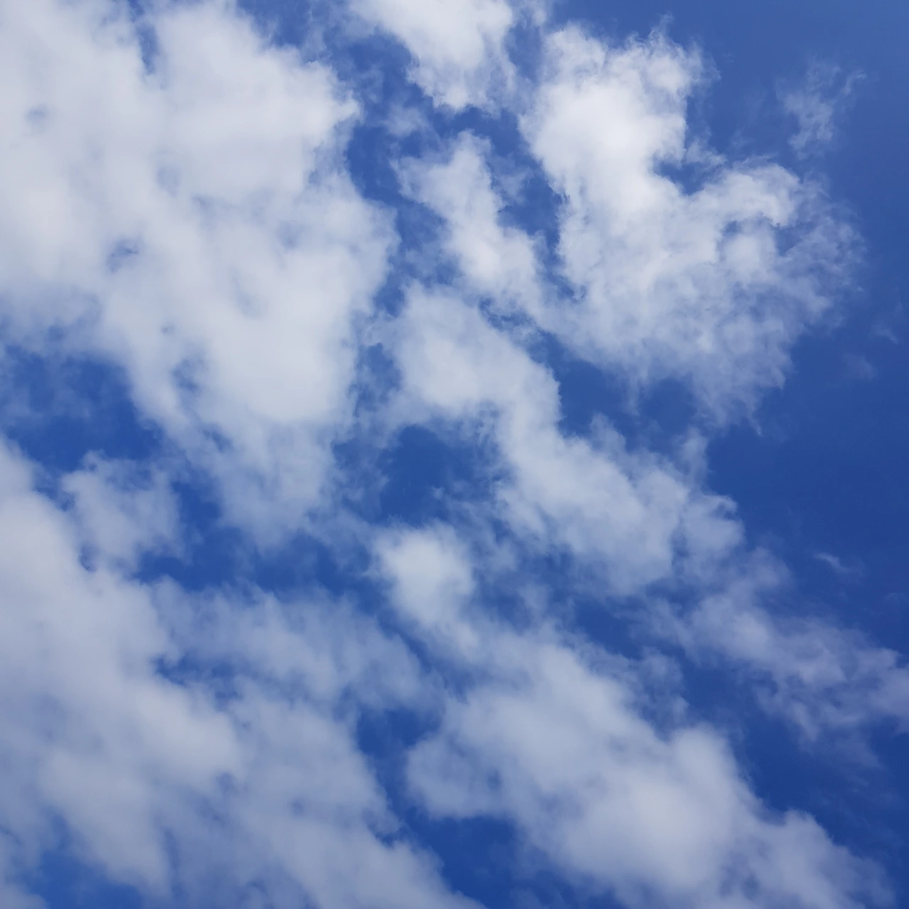 KakaoTalk_Photo_2022-07-16-19-25-40 001.jpeg