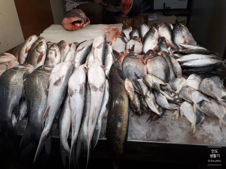 SE-94f00530-f66b-4f21-94fb-b056941eaa9b.jpg?type=w773