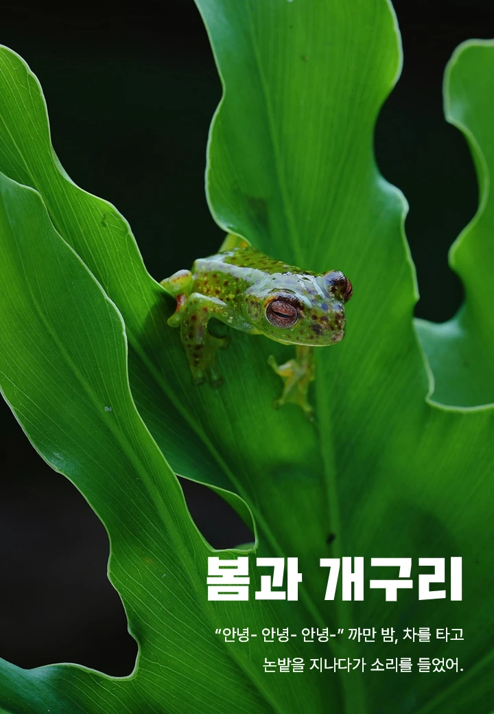 슬라이드9.PNG