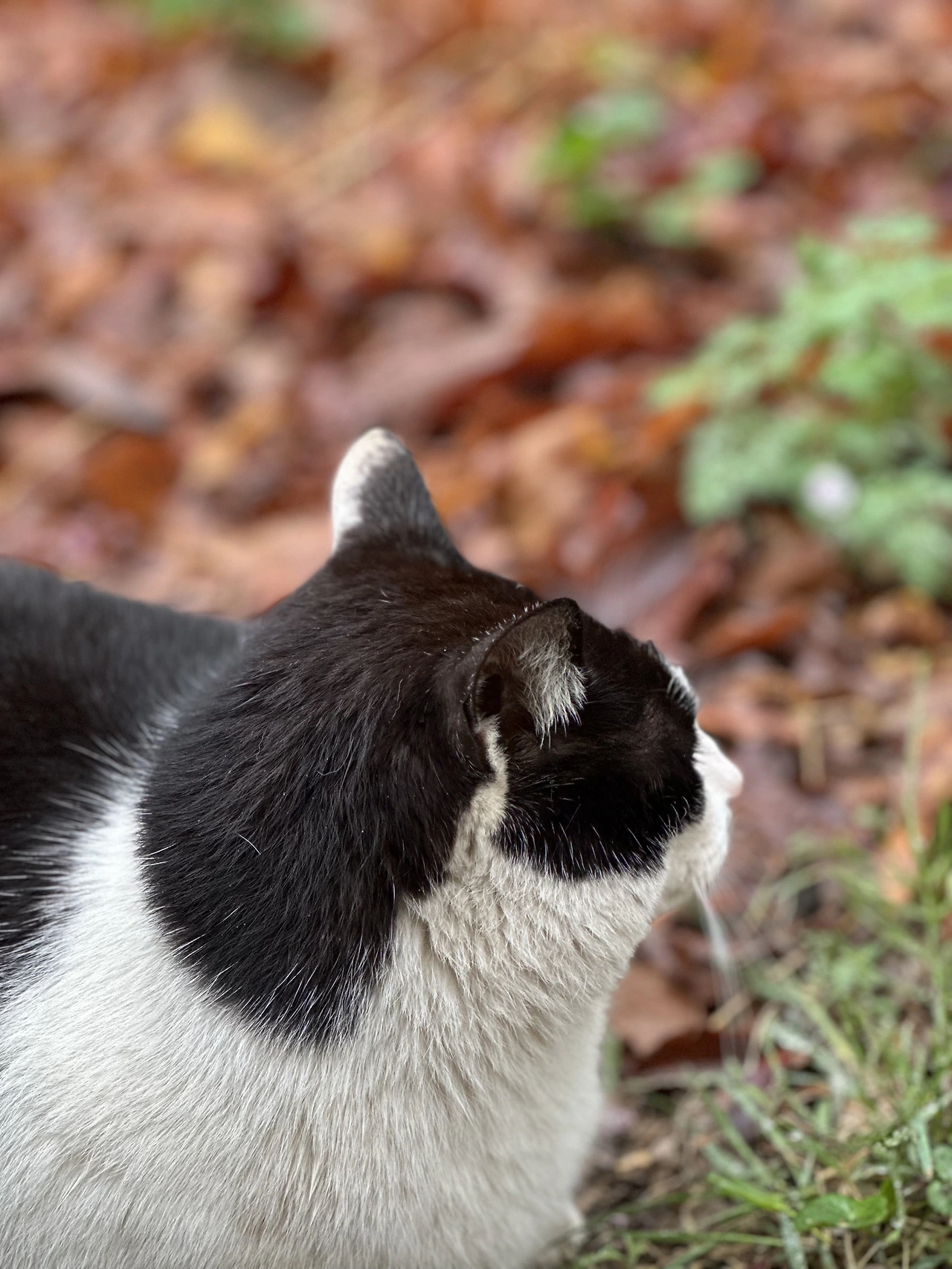 버캣리스트 7화 마를린 8.heic