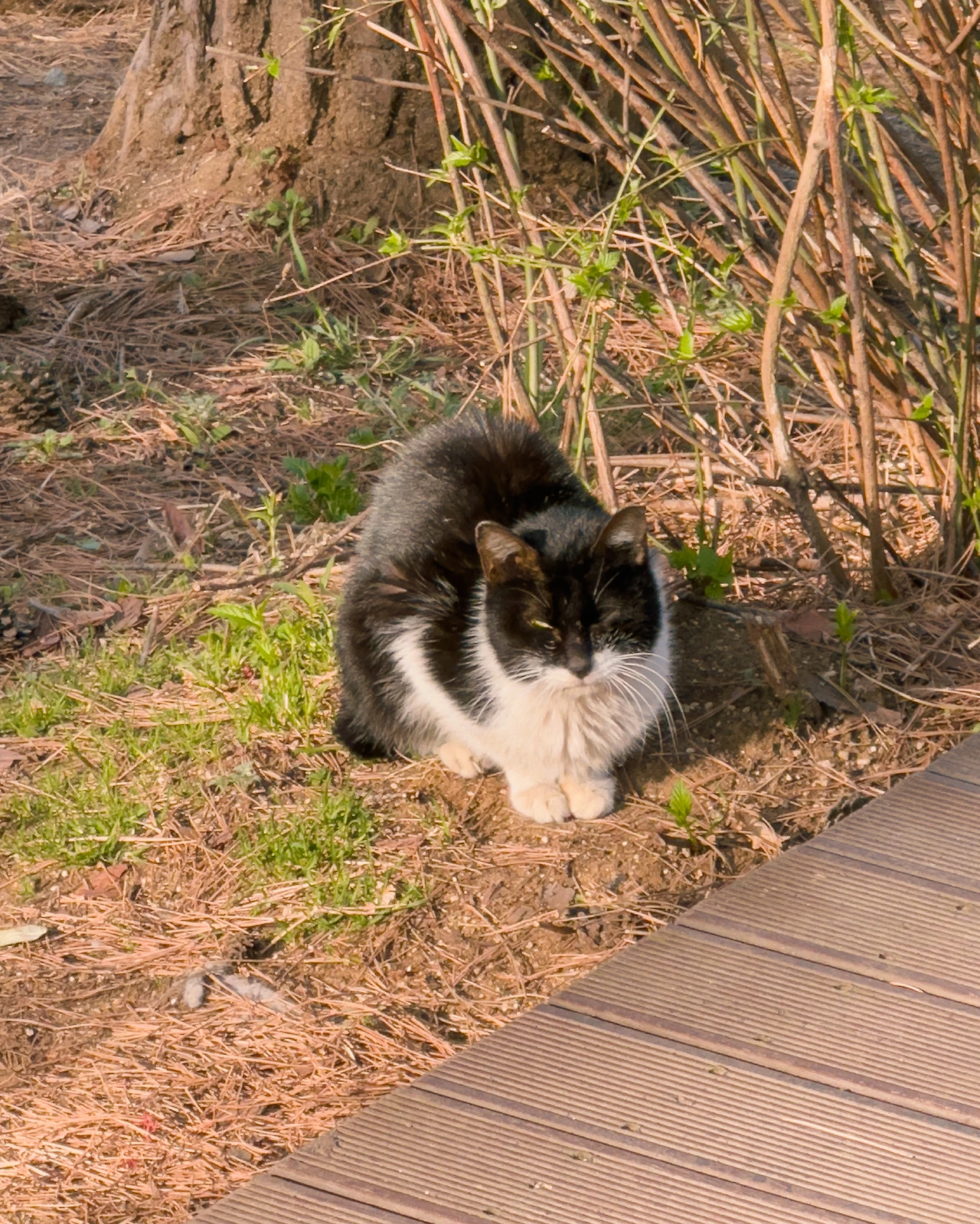 버캣리스트 3화 1.JPG