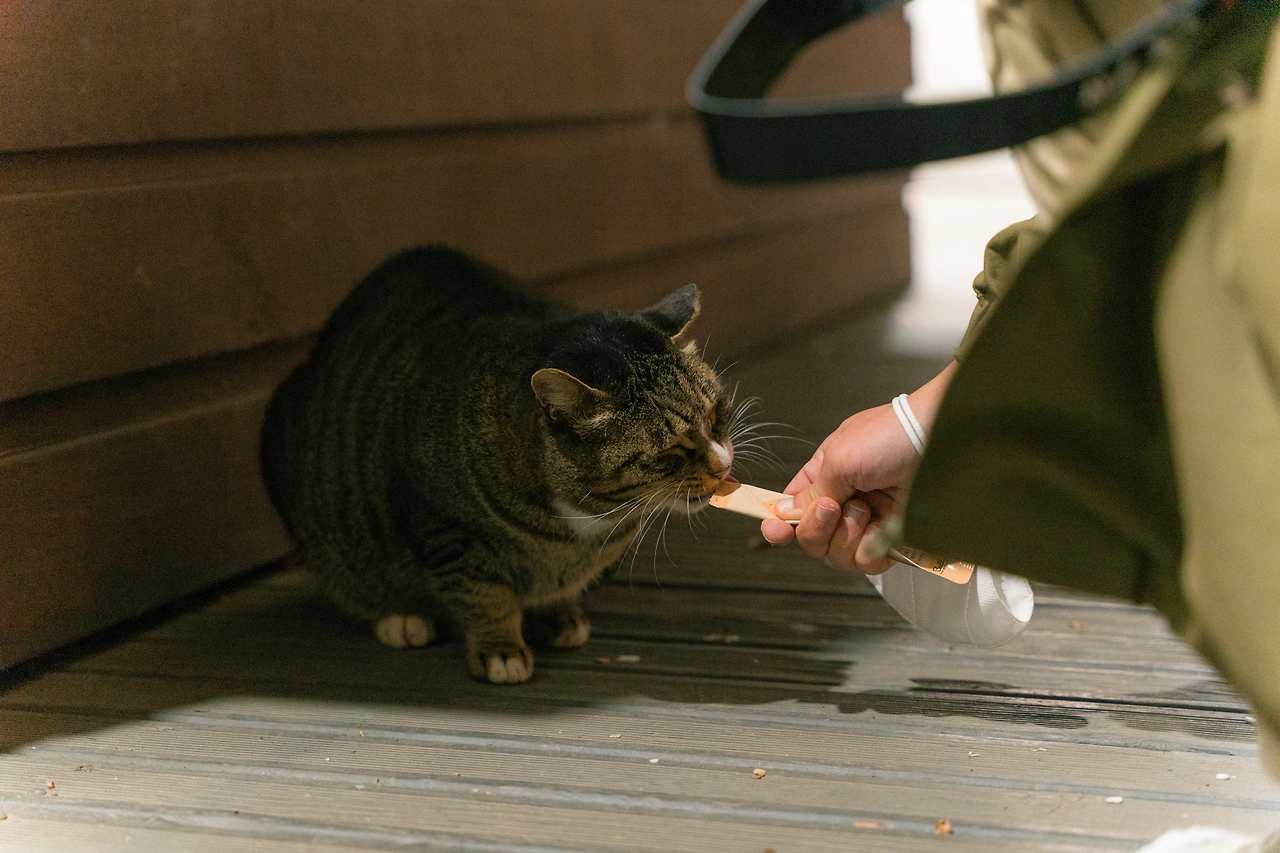 버캣리스트 6화 이중이_compressed.JPG