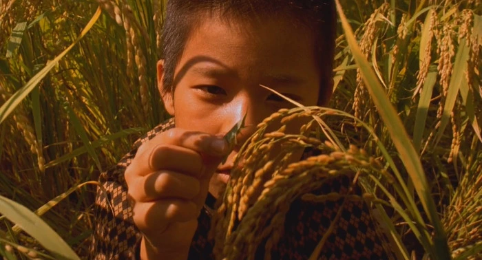 0c551a1a5f85517cfec0598462964ab5