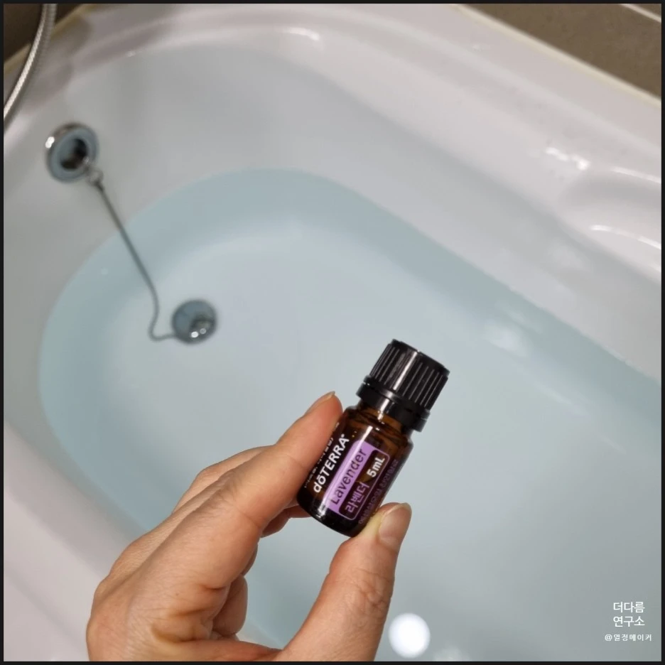 SE-23004ca2-cc58-431b-8b65-ec117d337a48.jpg?type=w1