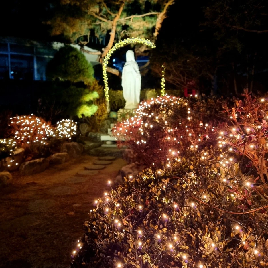 KakaoTalk_20211226_072811697.jpg?type=w1