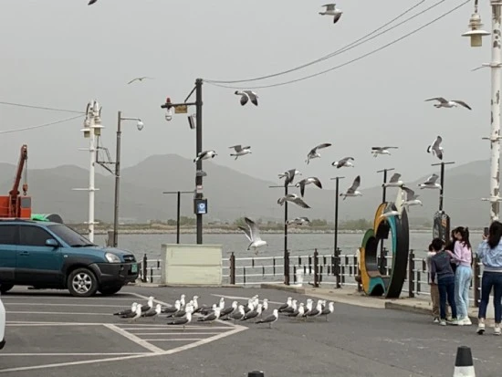 NaverBlog_20210515_152055_01.jpg?type=w3