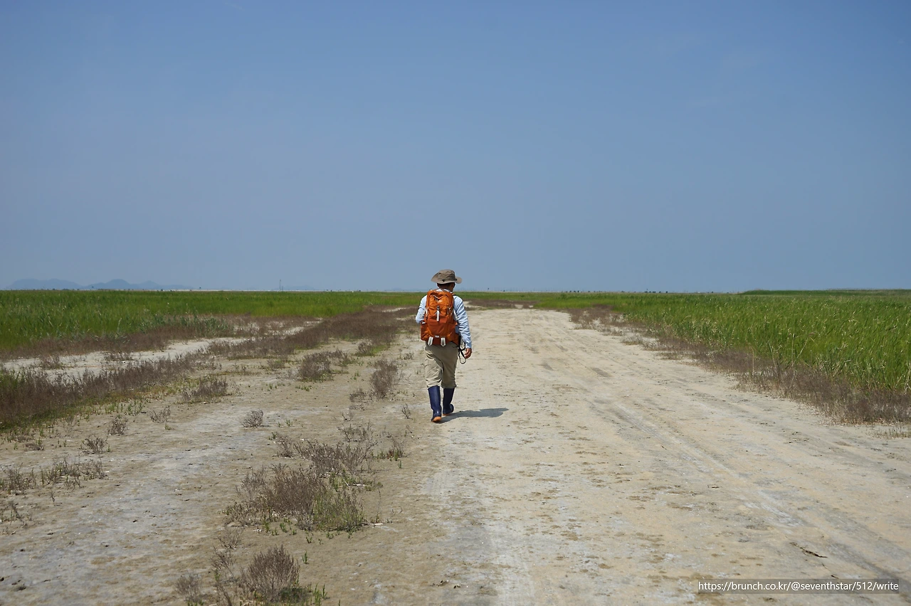 CKB09604' 더덕.JPG