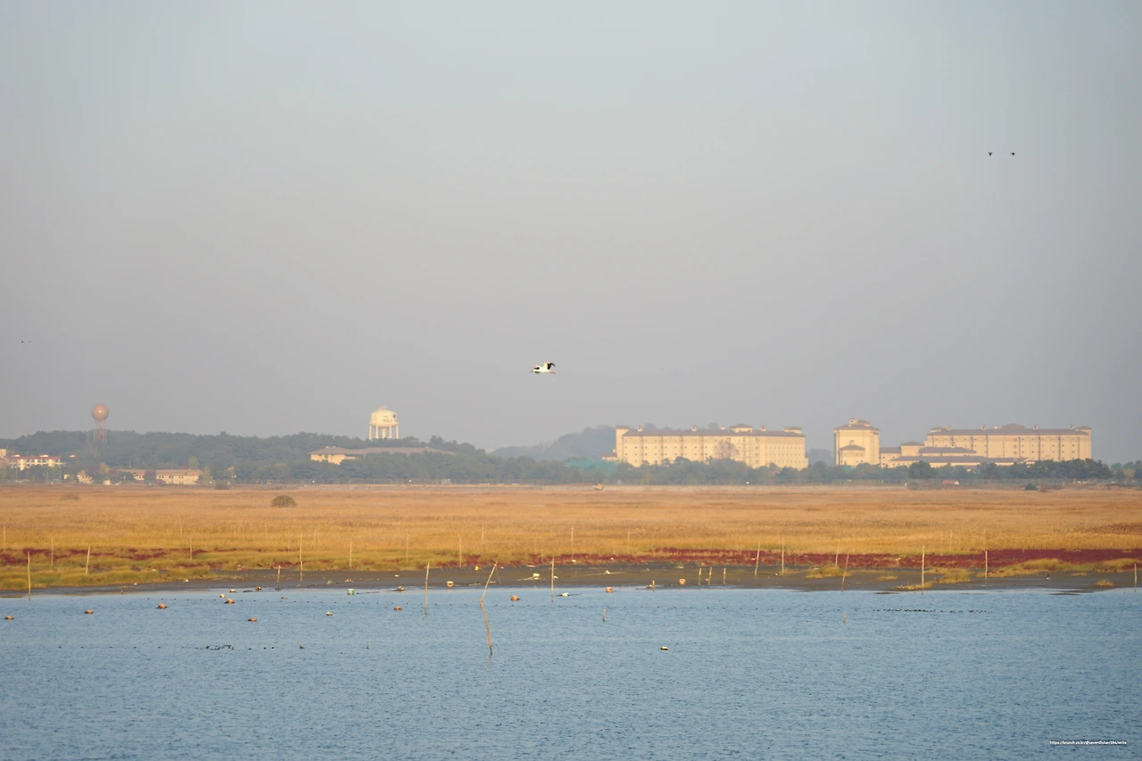 CKB00437 날아라 황새.JPG