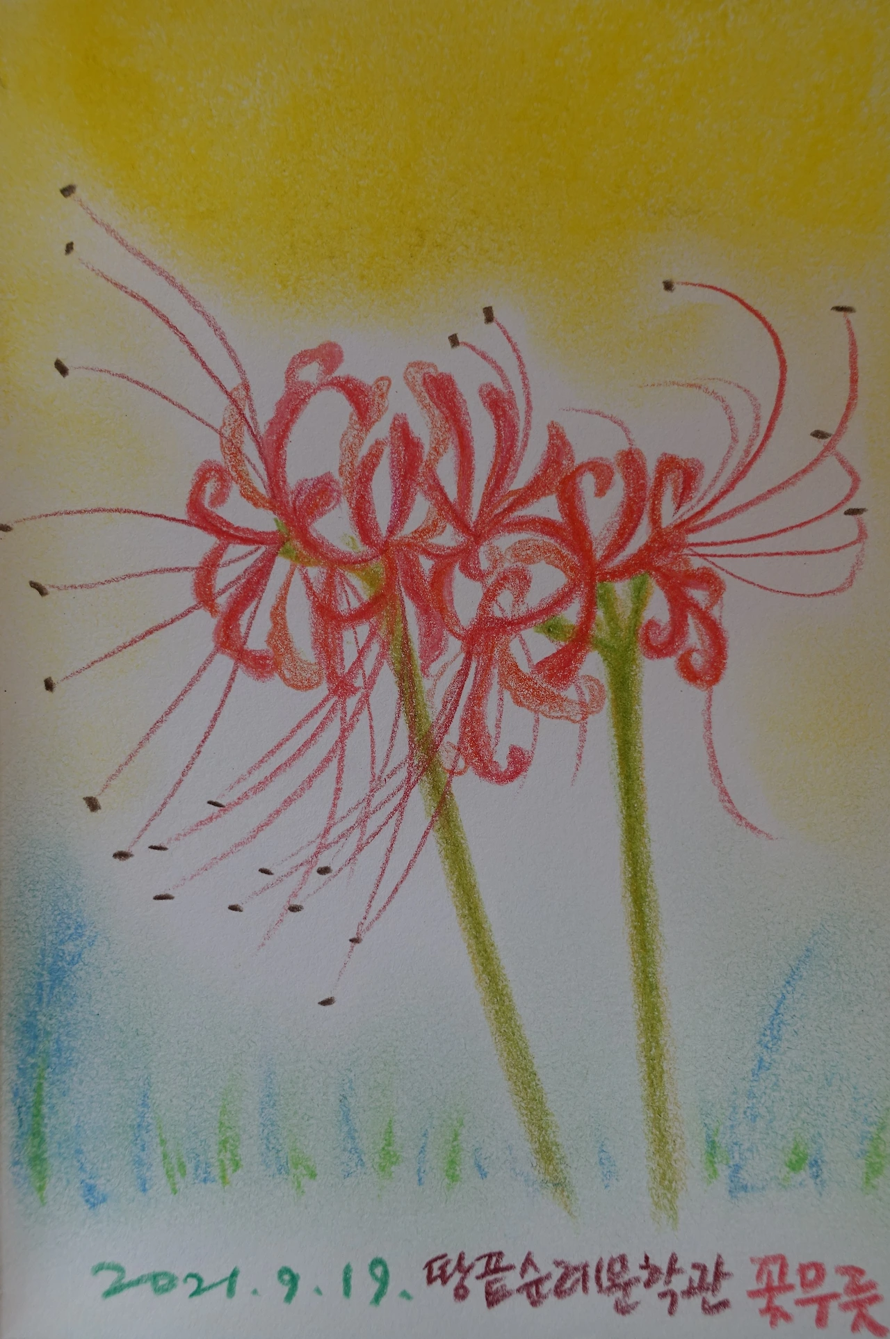 해남 백련재 정원일기 2.JPG