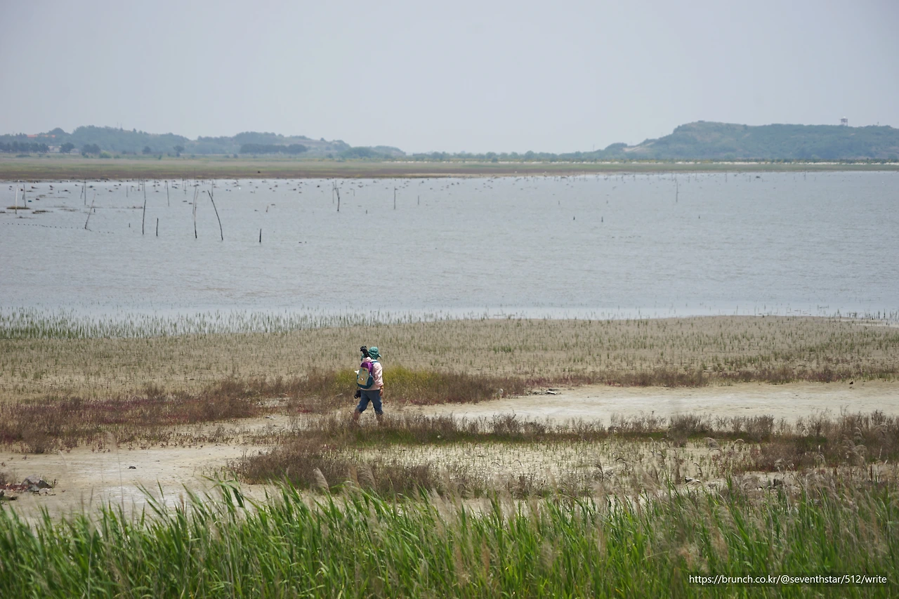 CKB09673' 딸기.JPG