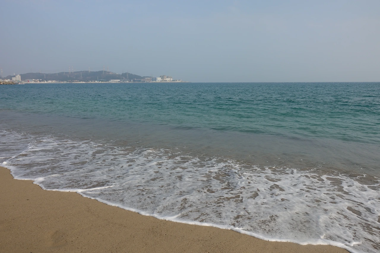 DSC00278 5년 후 임랑해변.JPG