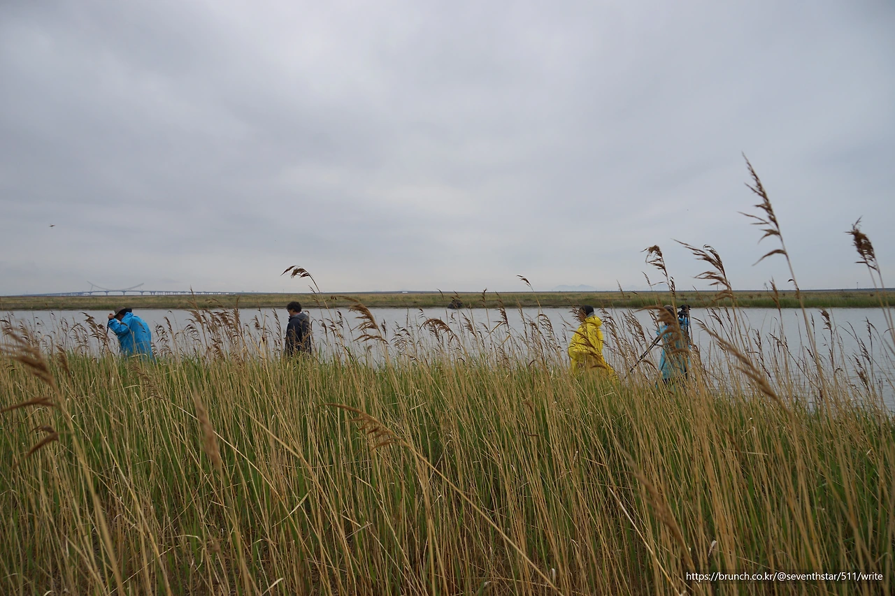CKB07297' 돌아가는 길 .JPG