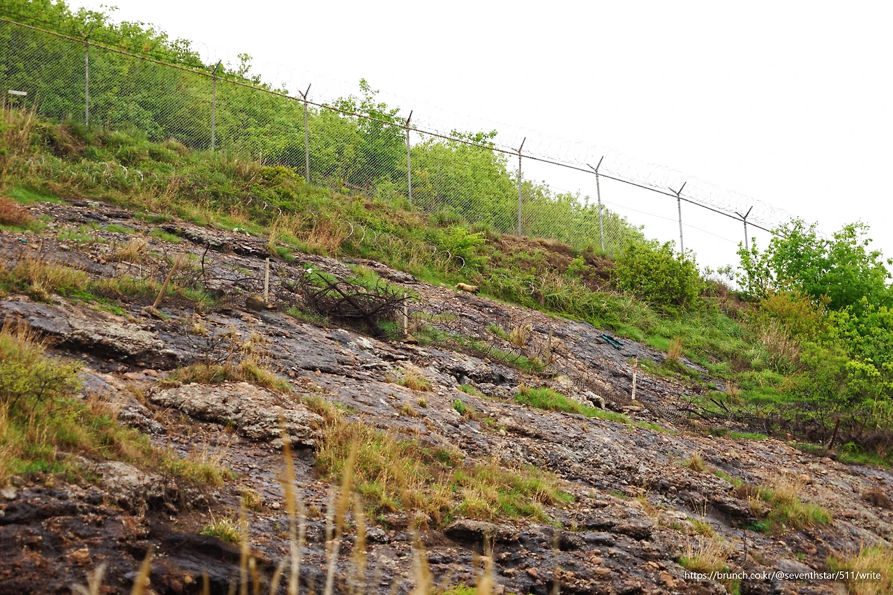 CKB07327' 야생동물.JPG