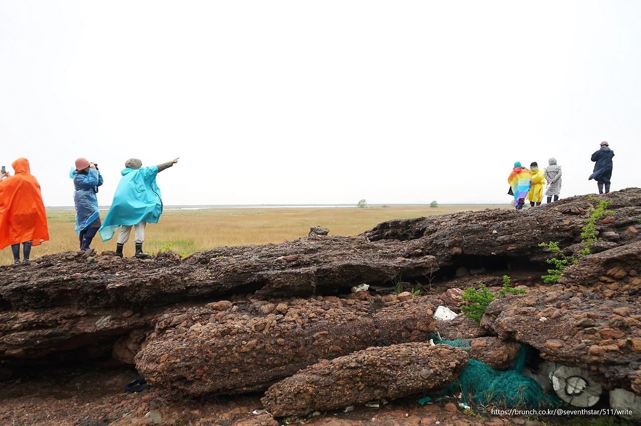 CKB07233' 생명평화답사.JPG