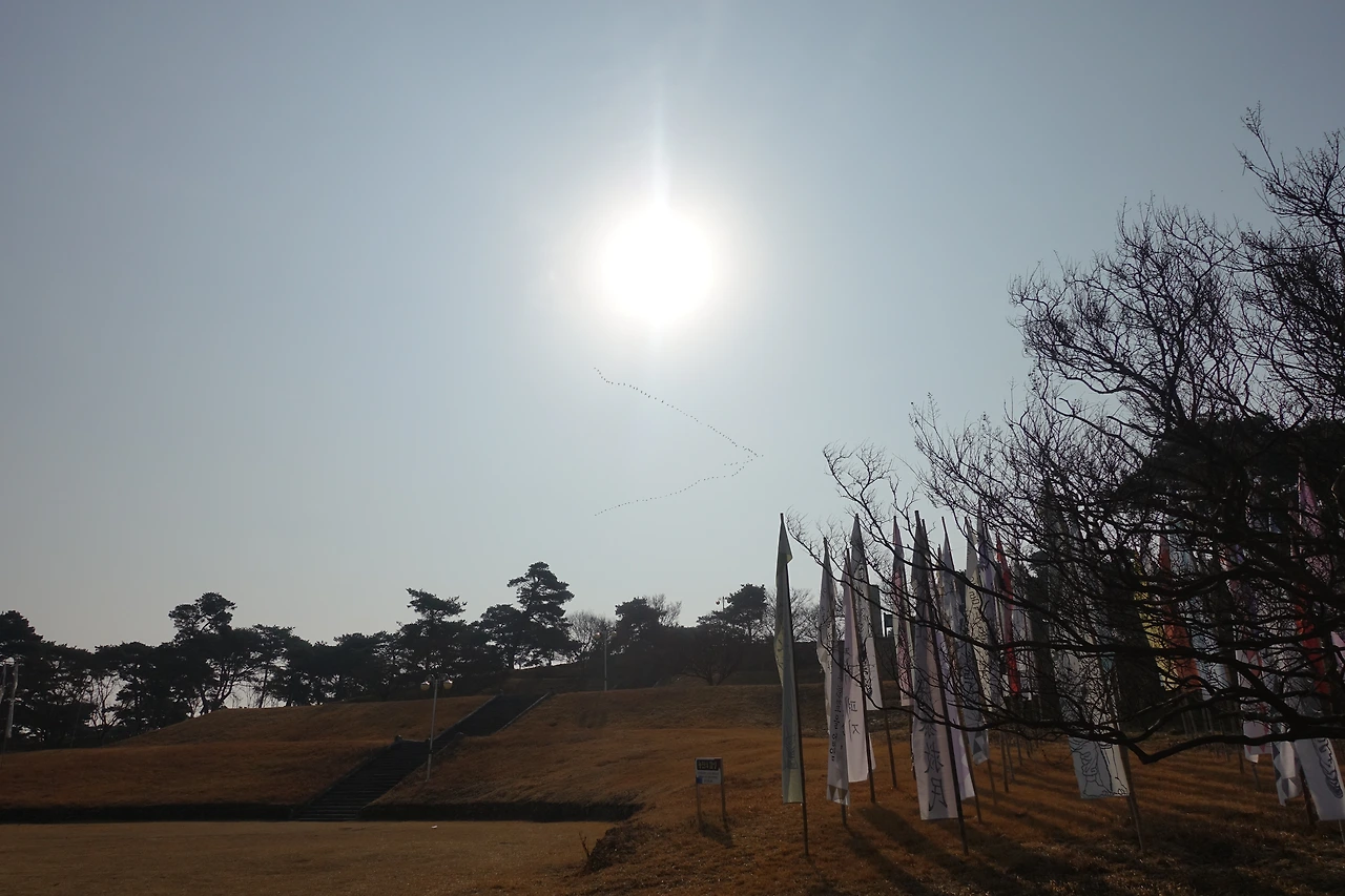 DSC00669농민의 함성.JPG