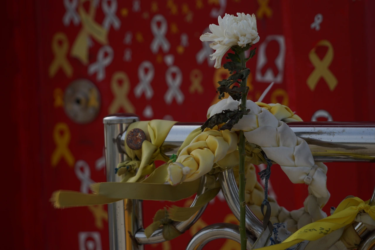 DSC05394잊지 않겠습니다.JPG