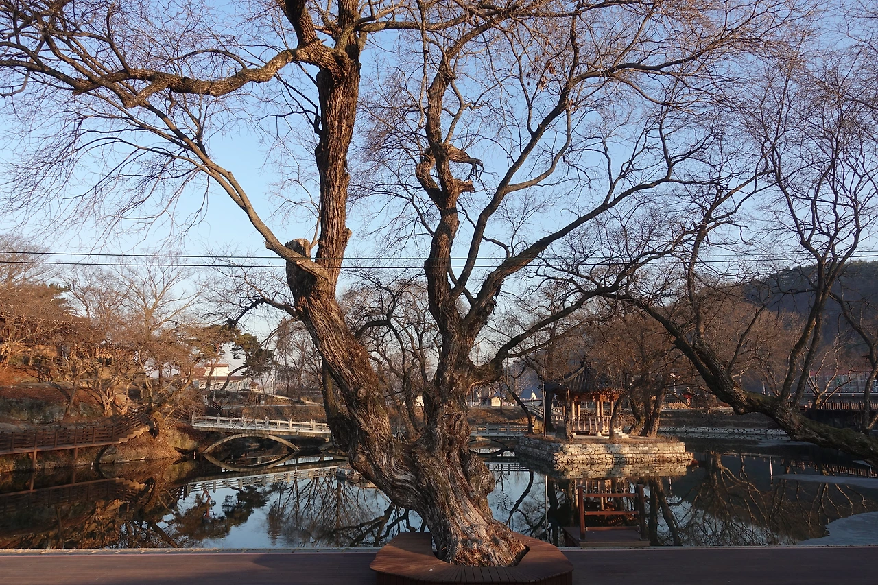 DSC09836 아라가야 역사순례길.JPG