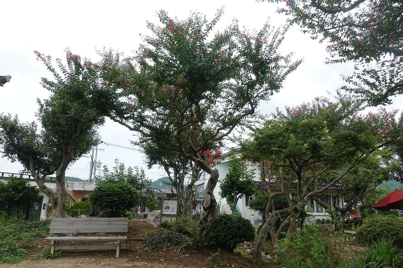 DSC06198정원이 아름다운 양조장'.JPG