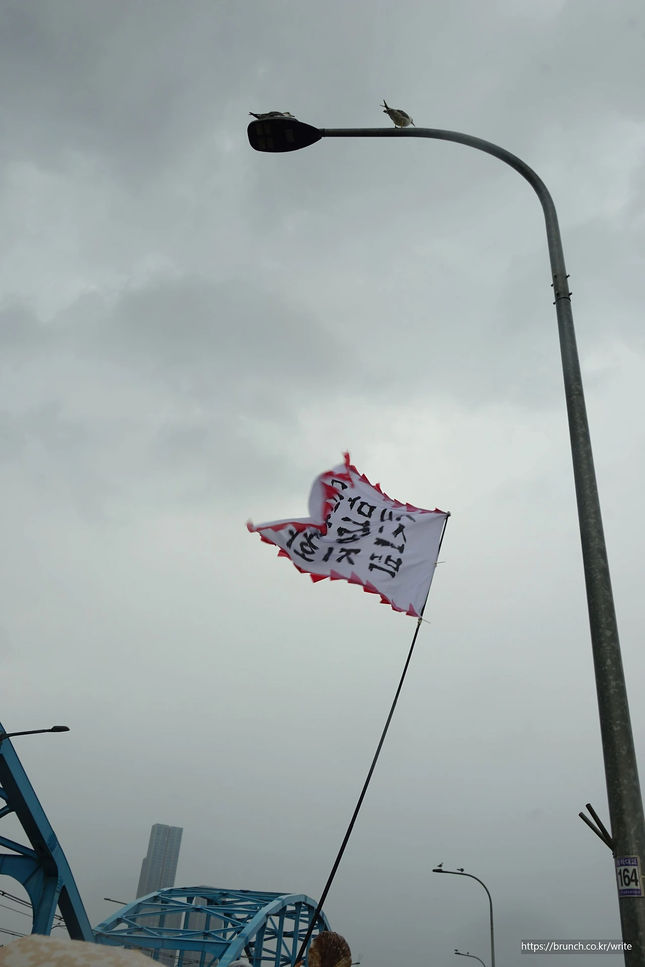 CKC07917'' 새와 깃발.JPG