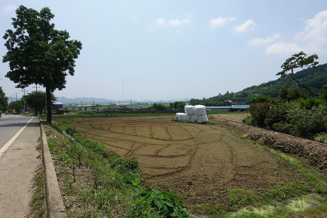 DSC03556 밭에 그림.JPG