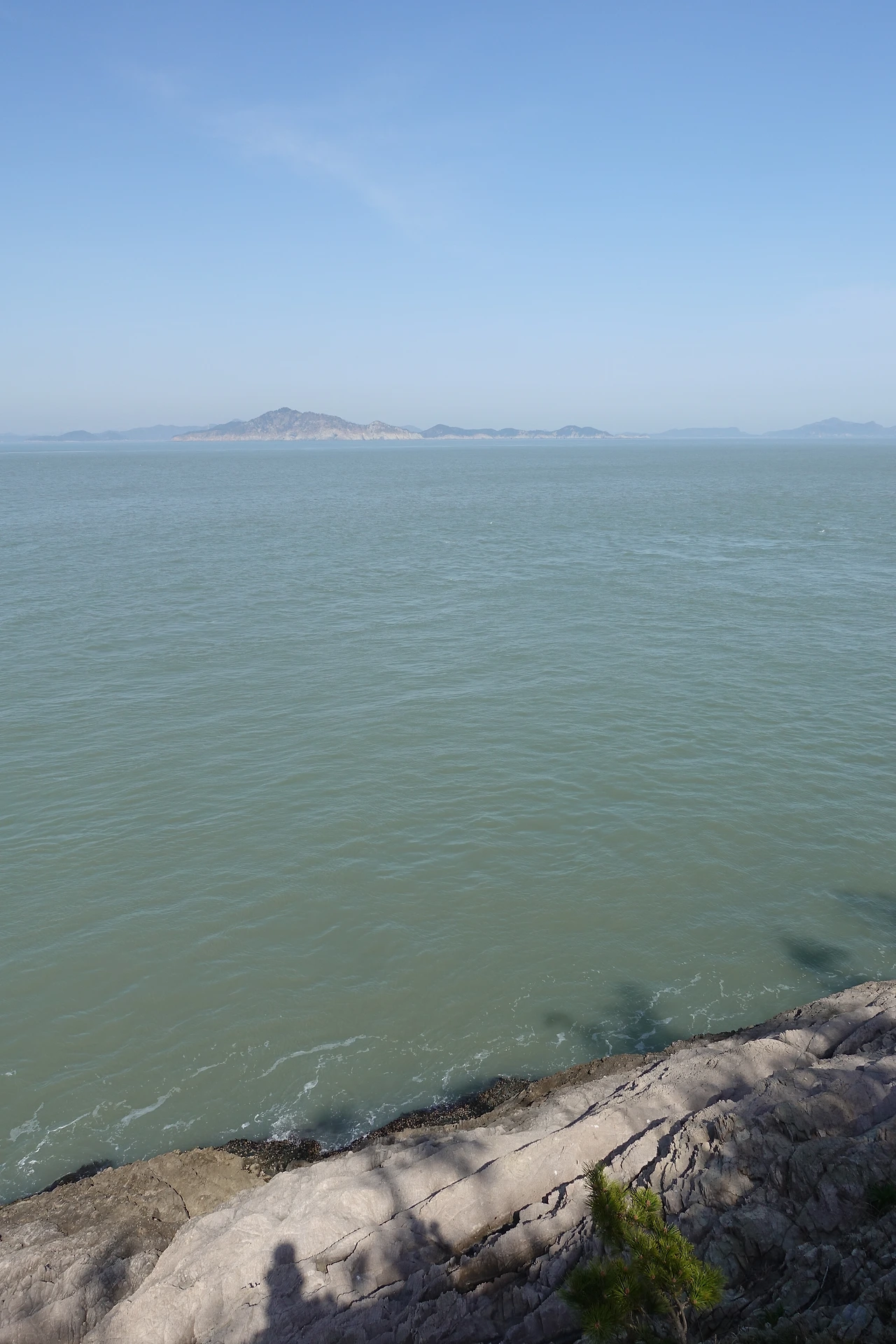 DSC01794위태롭지만 죽진 않아.JPG