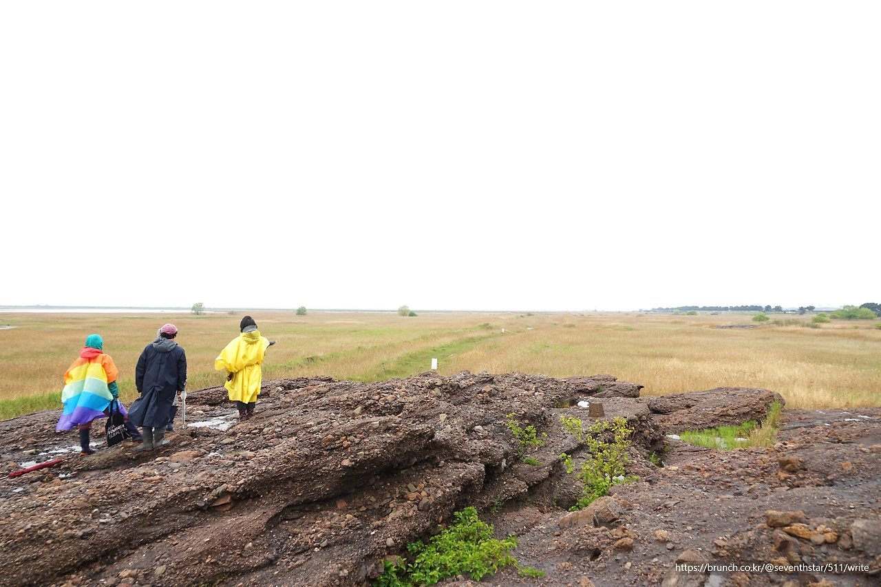 CKB07236' 생명평화답사.JPG