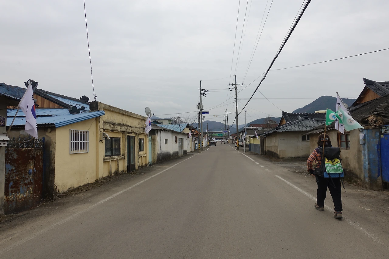 DSC09825 태극기와 탈핵.JPG