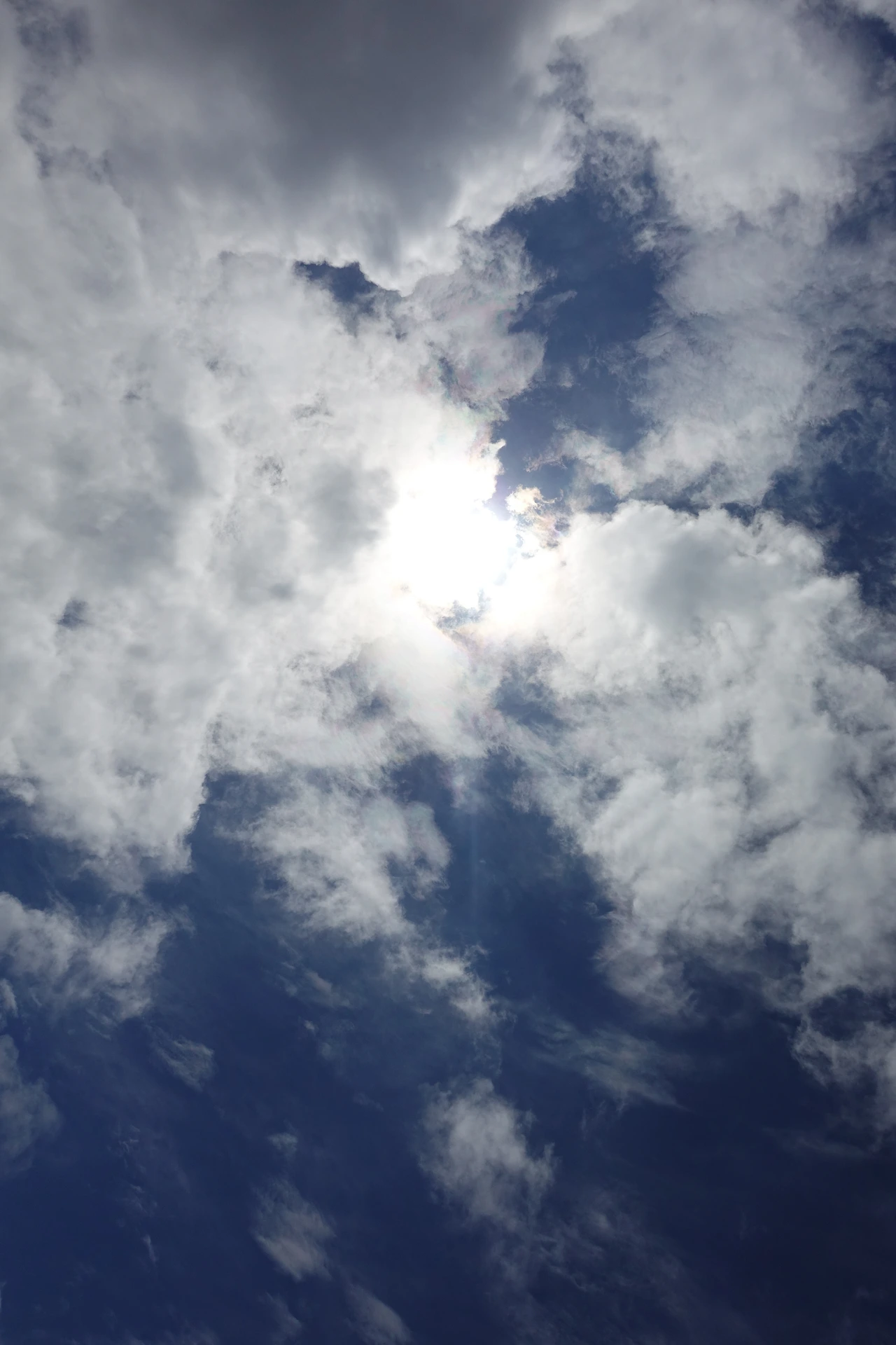 DSC03357 태양을 마주하다.JPG