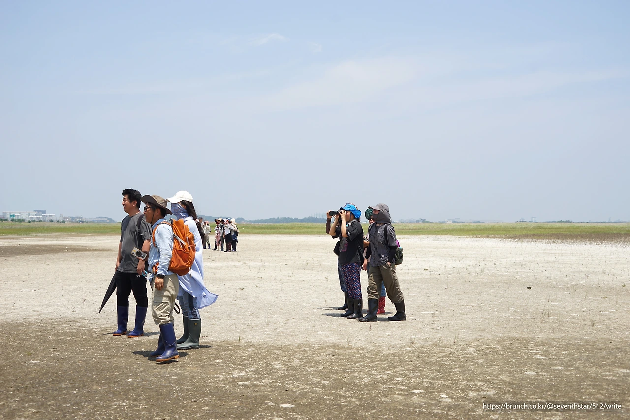 CKB09657' 새를 보는 사람들.JPG