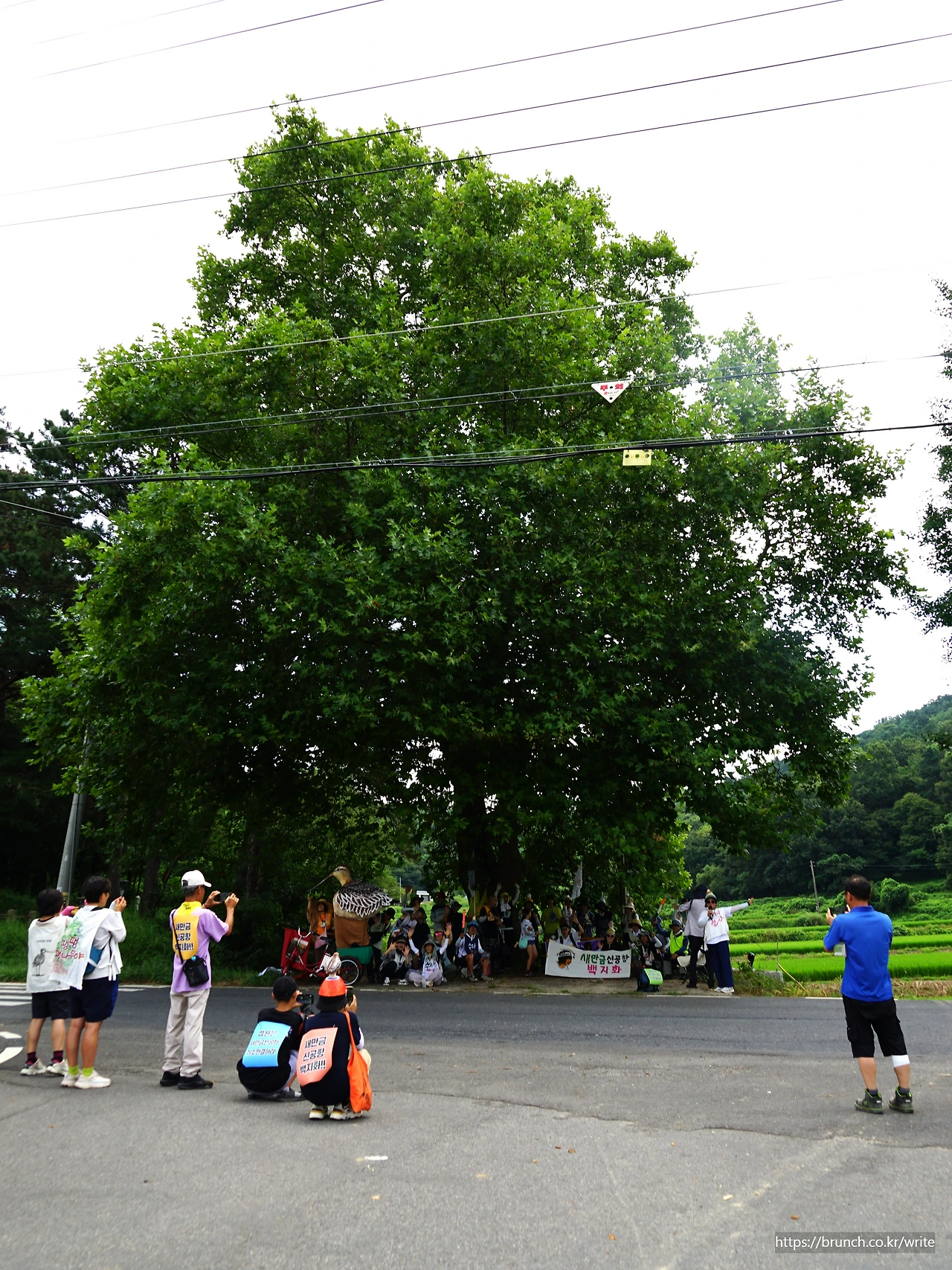 CKC02757' 나무 아래 단체 사진.JPG