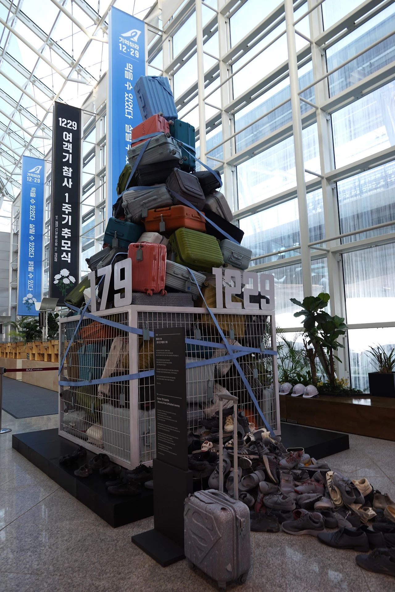 CKC01054' 캐리어179.JPG