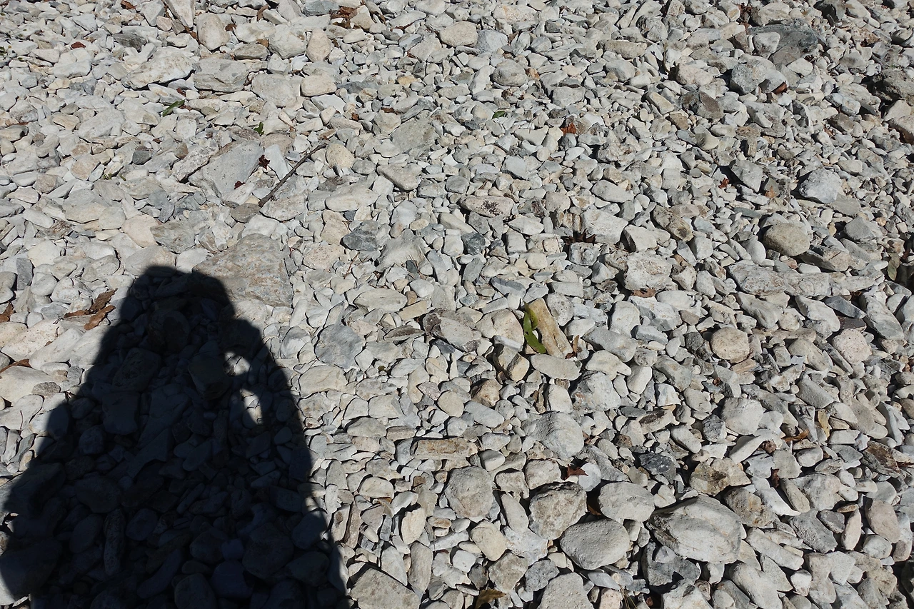 DSC07744메말라가는 봉동계곡과  나.JPG