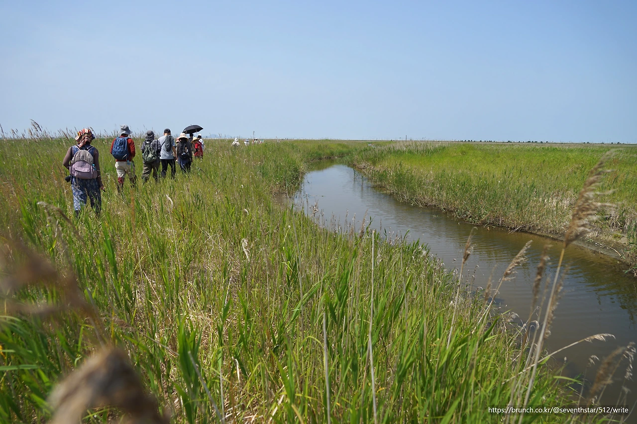 CKB09625' 수로에서.JPG