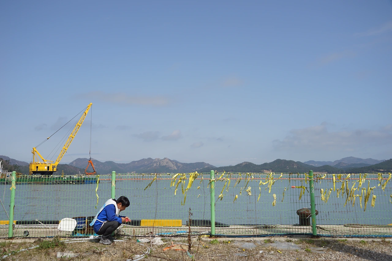 DSC05242쭈그리고 앉아있는 어쭈.JPG