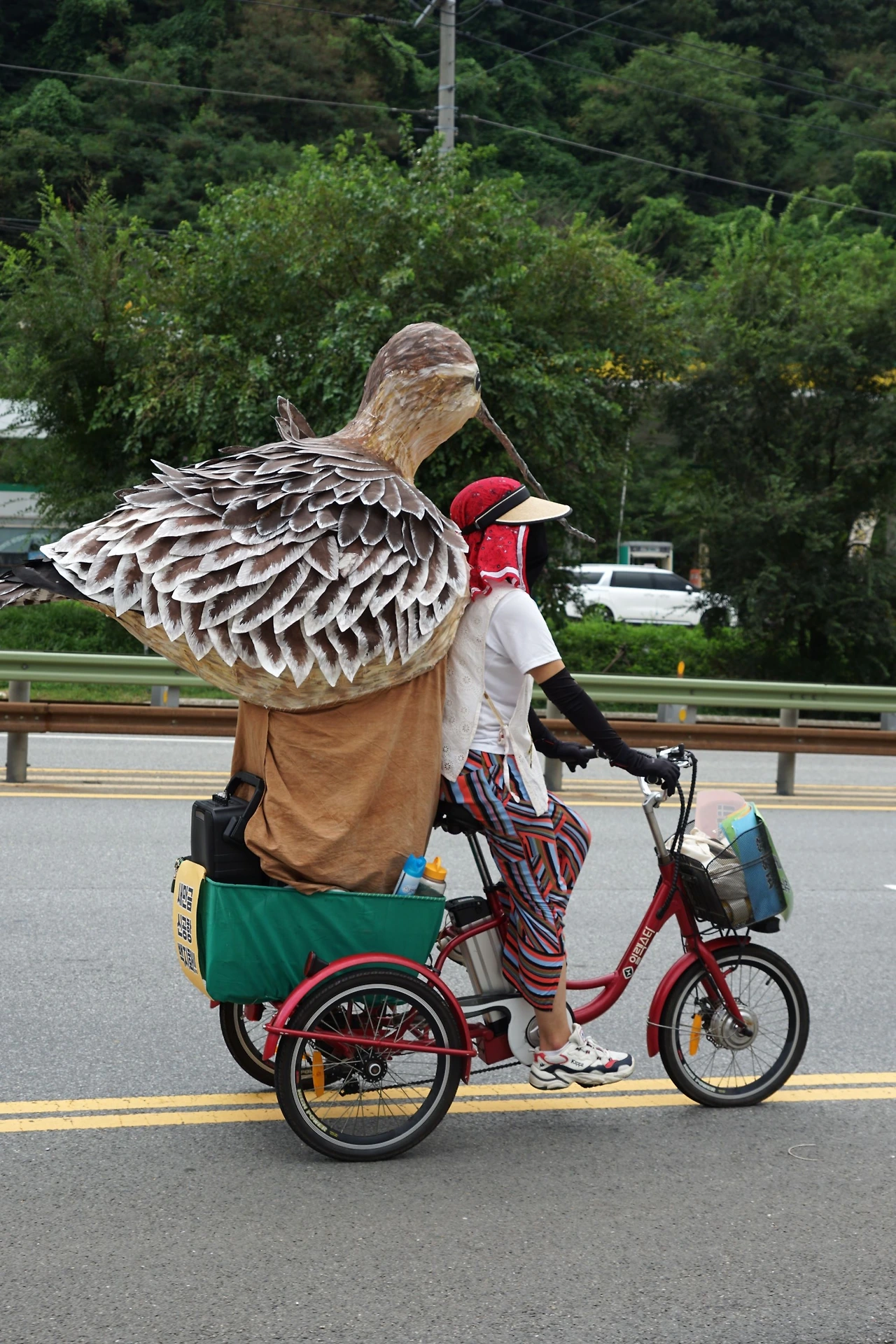 CKC06217'' 큰뒷부리도요.JPG