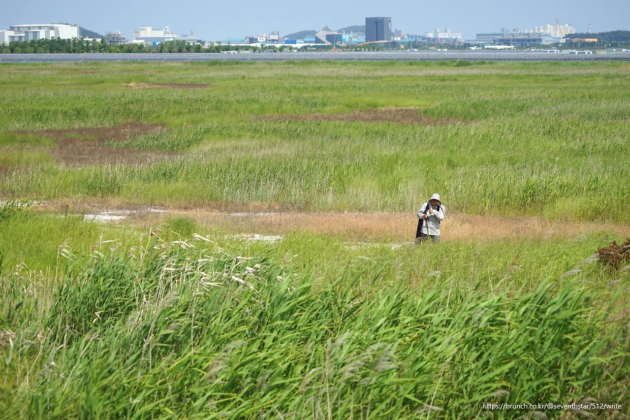 CKB09583' 오이.JPG