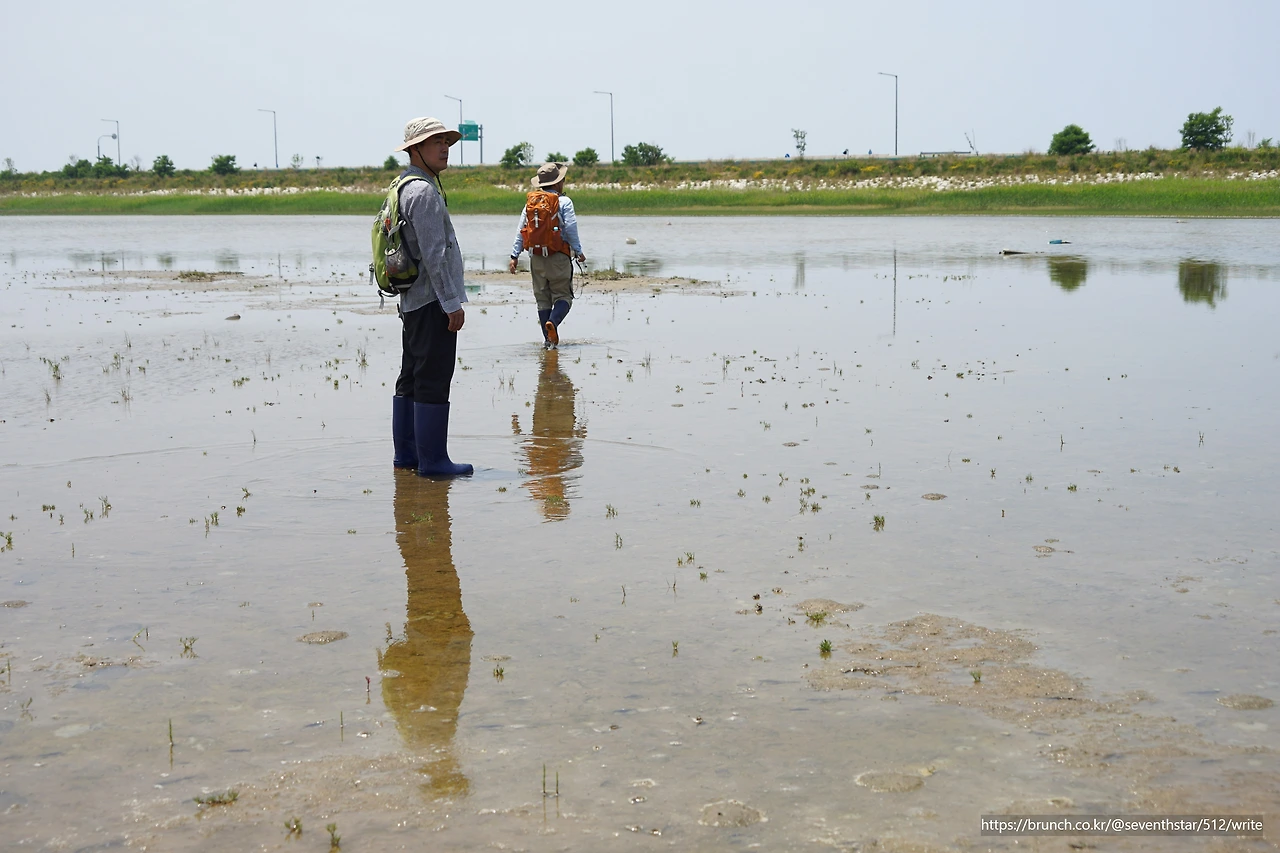 CKB09660' 물끝선.JPG