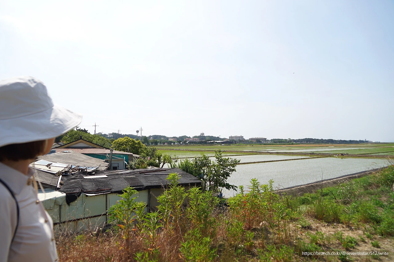 CKB09579' 남수라마을에서 보이는 군산미군기지.JPG