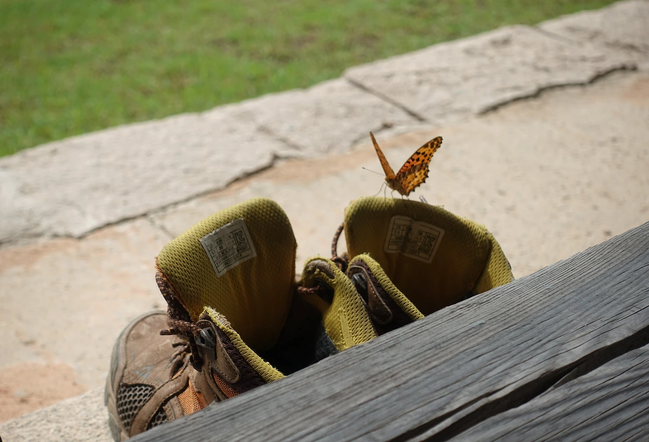 DSC06242향기나는 신발.JPG