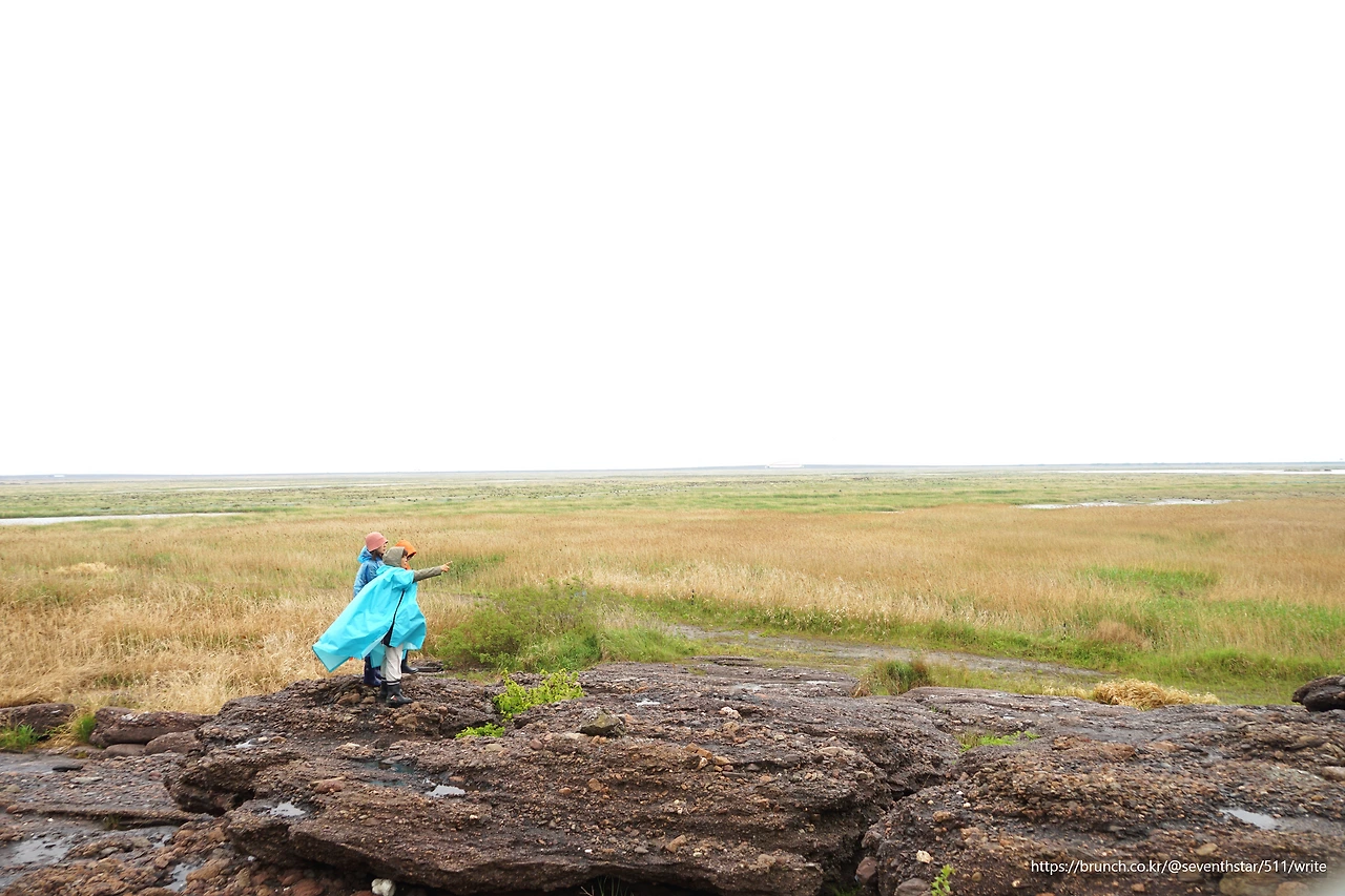 CKB07235' 생명평화답사.JPG