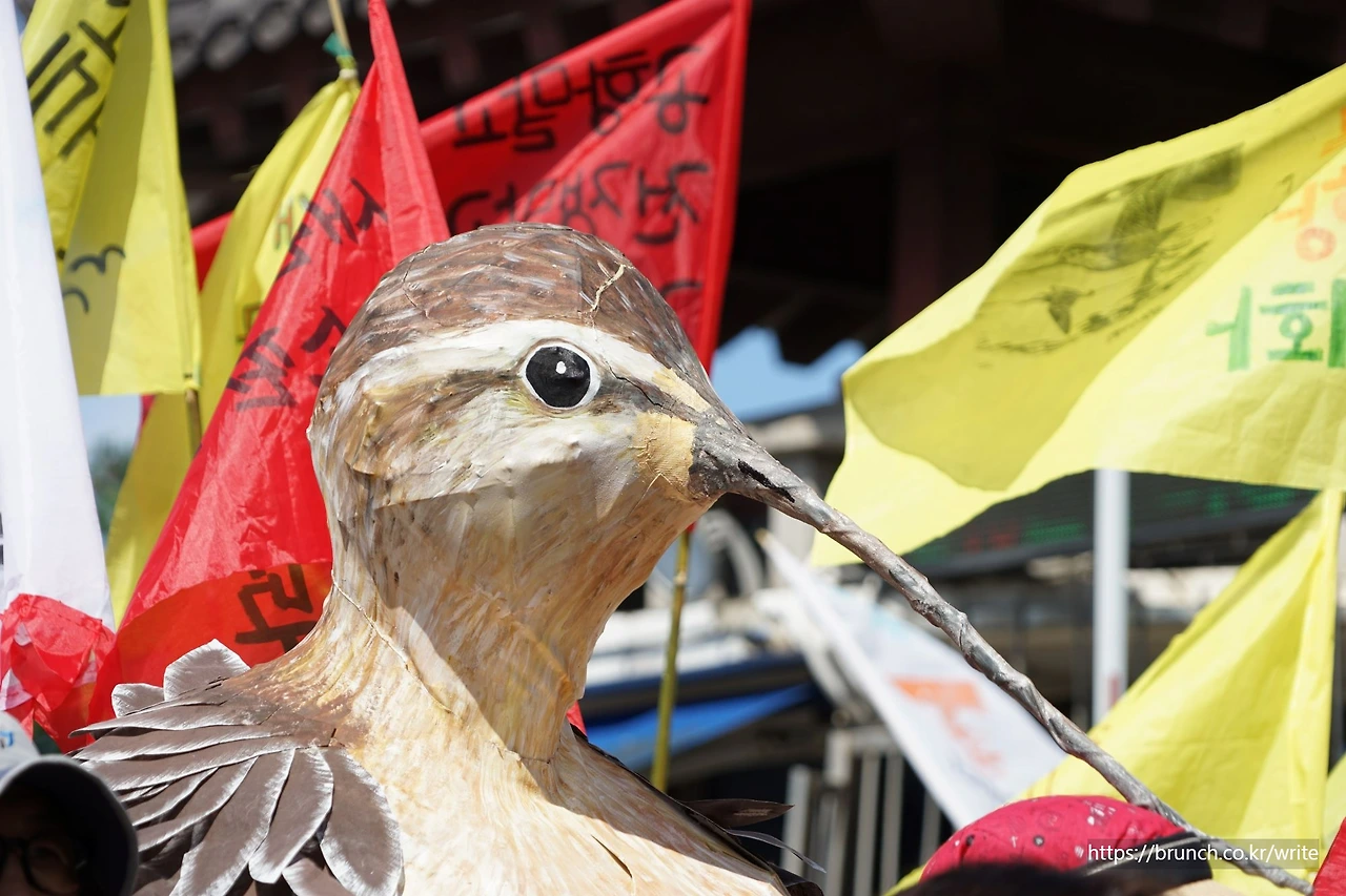 CKC07490' 큰뒷부리도요의 맑은 눈.JPG