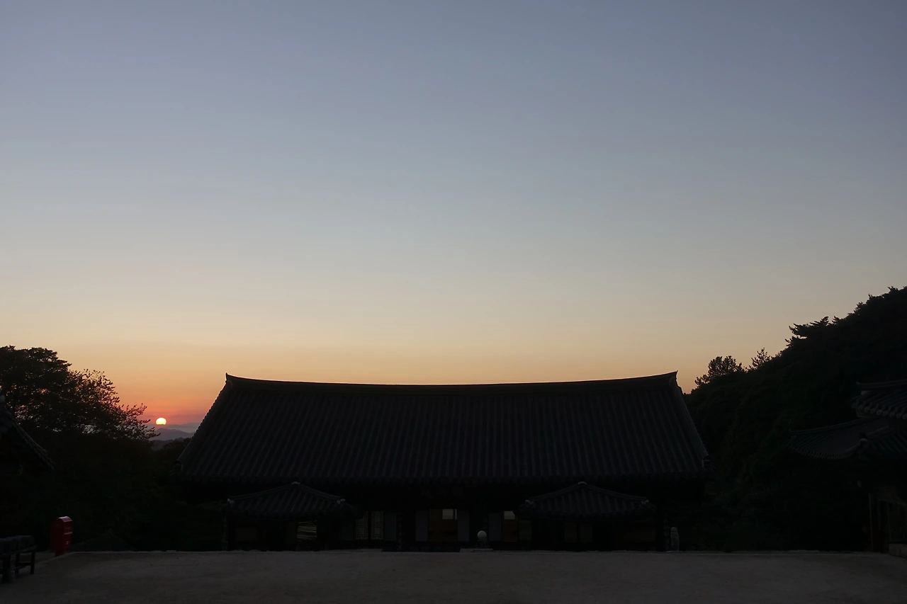 DSC08124 (2)자하.JPG