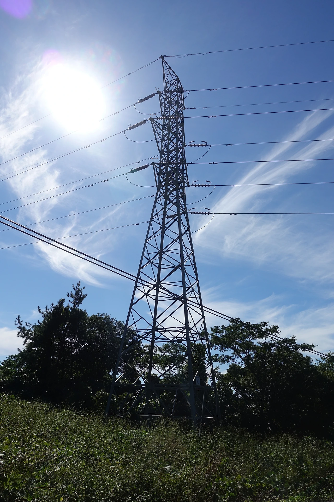 DSC07756숲속 송전탑.JPG
