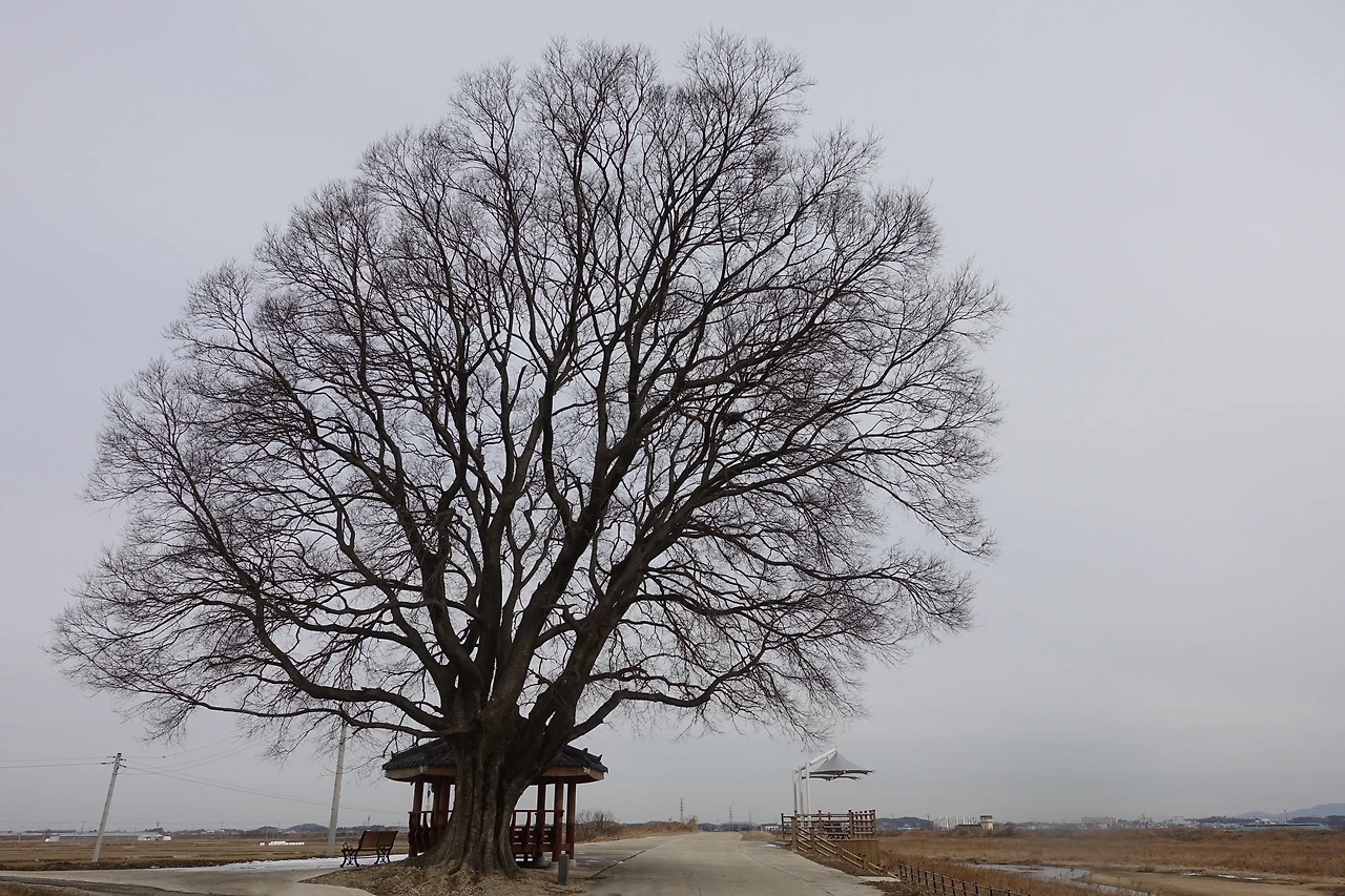 DSC00495만석보 가는 길.JPG